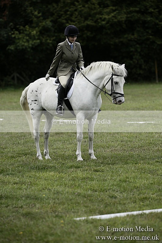 BVR080918 367 - BVRC Novice Dressage & CR 08/09/18