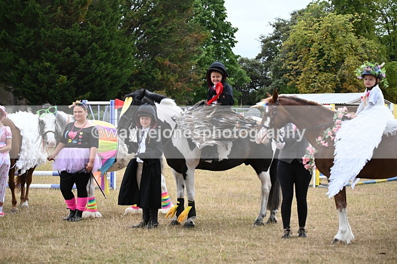 WJ6_9235 - Class 11 Fancy Dress