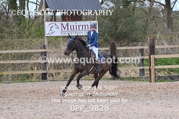BPP_9828 - CLASS 18 SUN Ron Brady SporthorsesRHS
