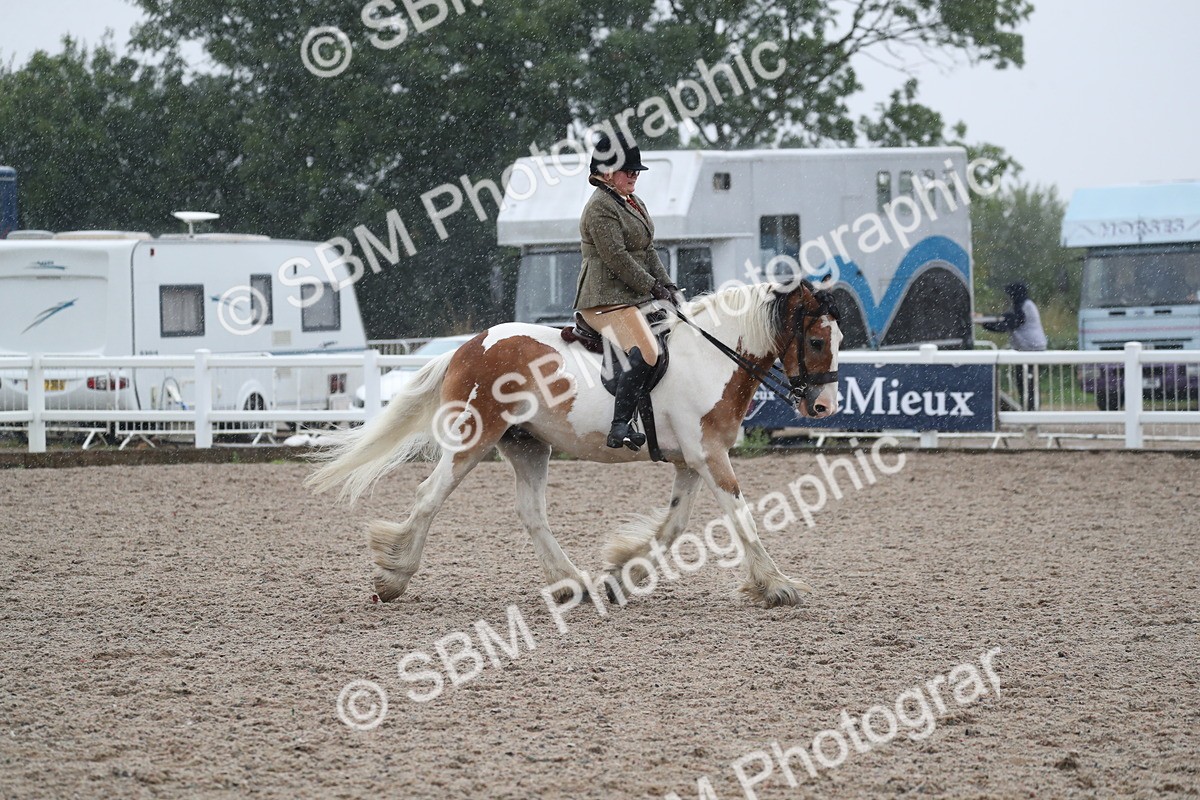 SBM_20415 - Class 601 - 2025 Area - Ridden Diamond