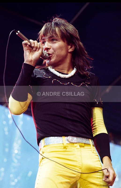 DAVID CASSIDY - C..
