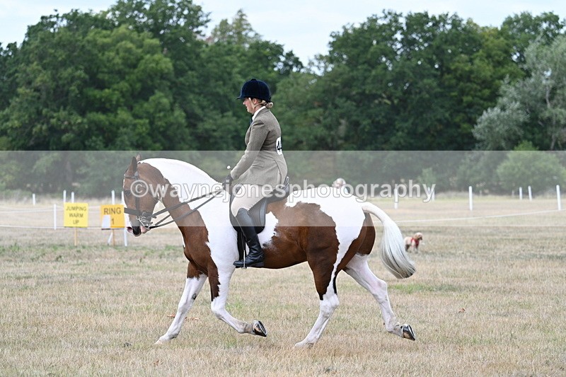 WJ7_4967 - Class 12 Ridden Cob