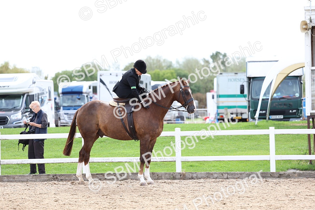SBM_03444 - Class 24 - SSA Concours d'elegance (any age)