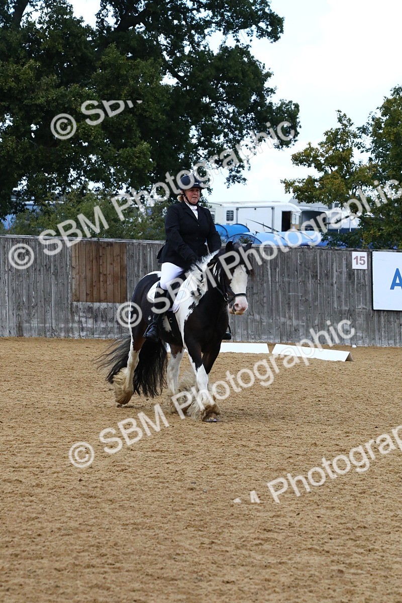 SBM_21024 - D5 - Small Tour Championshop Intro 2