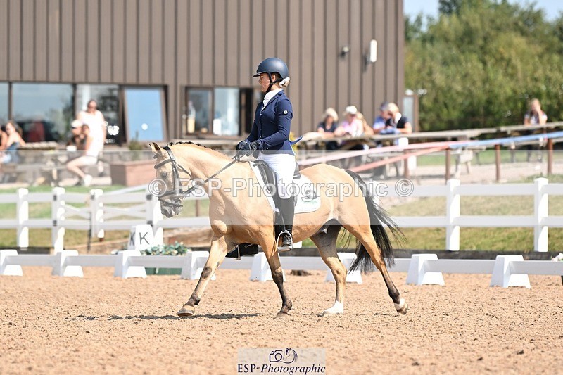 250816-120108-04395 - 060-Felicity.HendySheepcote.Champion.Star