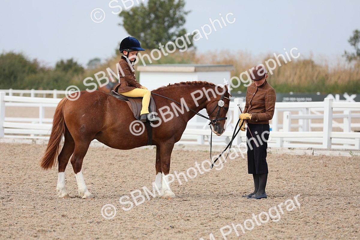 SBM_16891 - Class 314 Family Horse/Pony