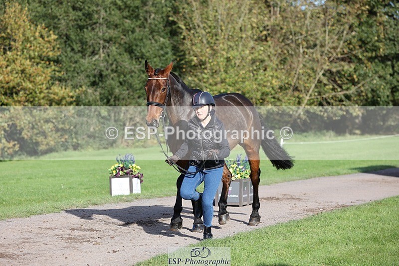 241027-101400-15757 - 509-Tichy.Sanders-SPARHANGER.VELVET