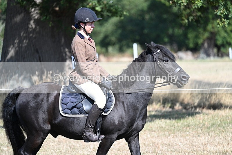 WJ7_3465 - Class 9 Mountain & Moorland Ridden