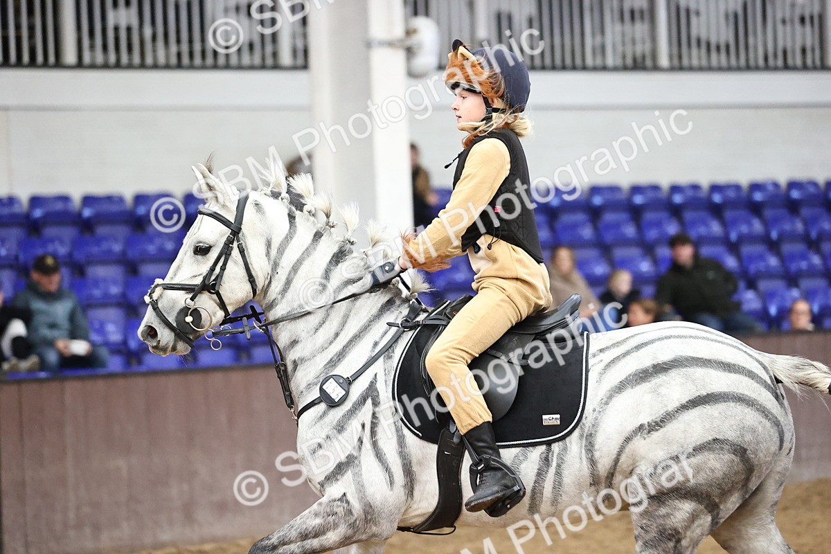 SBM_000664 - Class 2 - Show Jumping 50cm