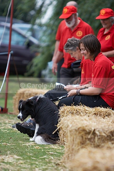  - Tendring Agility Group- St Osyth Summer Fete