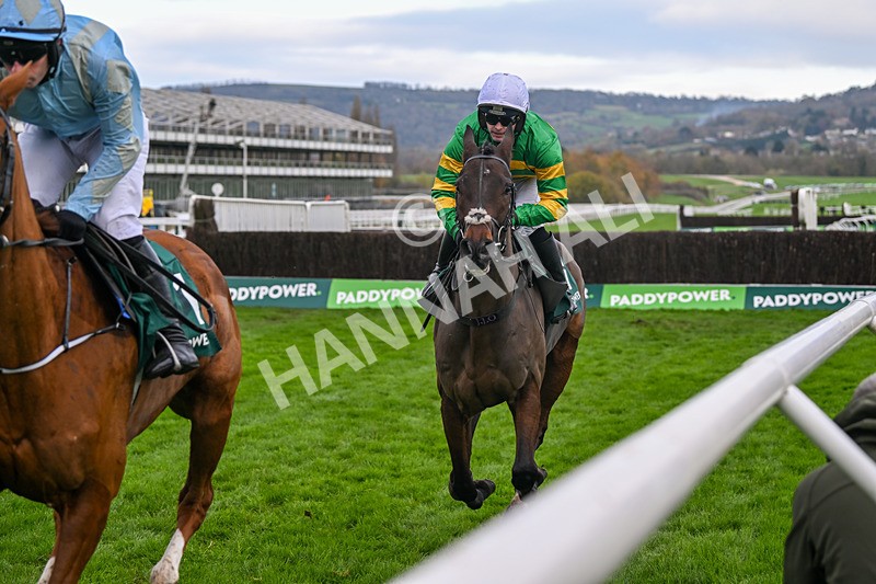 161124-Race 3-Petit Tonnerre-9944 - Race 3