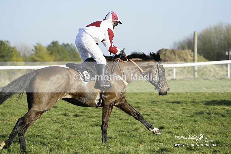 PtP 270222 521 - South & West Wilts Point-to-Point Larkhill 27/02/22