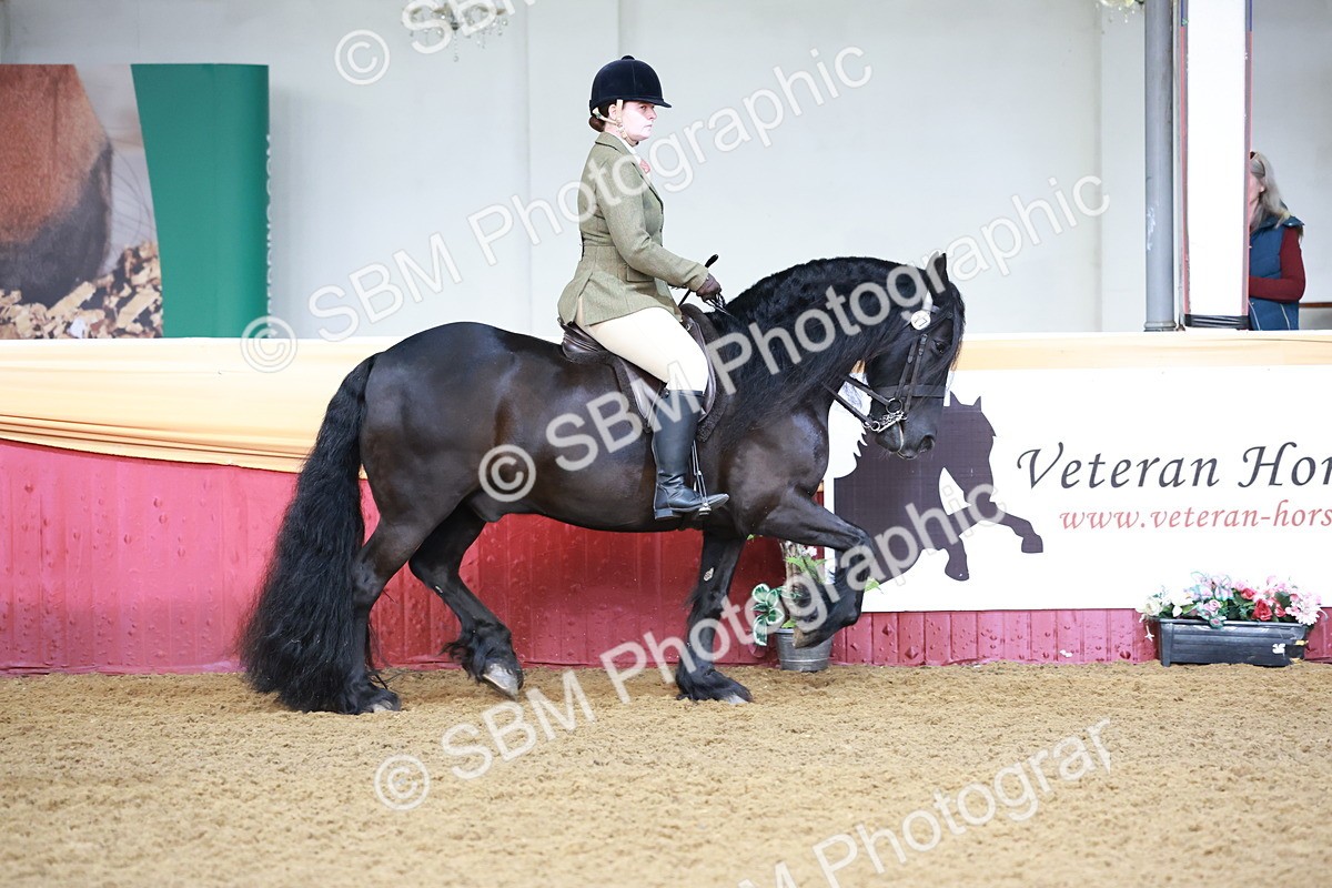 SBM_11801 - Class 102 - Equitation (Best Rider) Adult