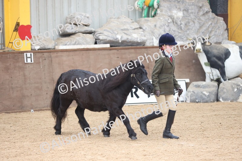 20251109-0153 - Class 8 - Young Handlers