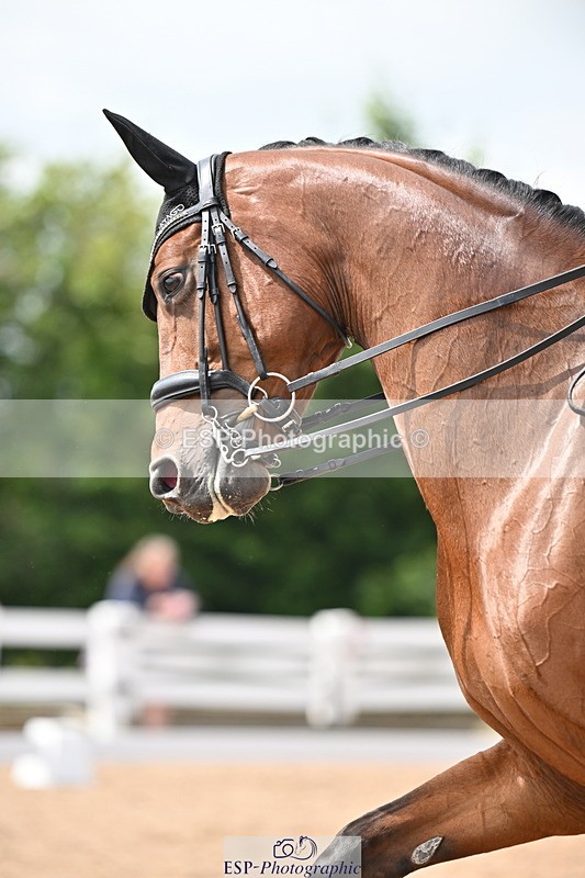 240621A-150658-04634 - Cls 13 BD Adv Medium 91