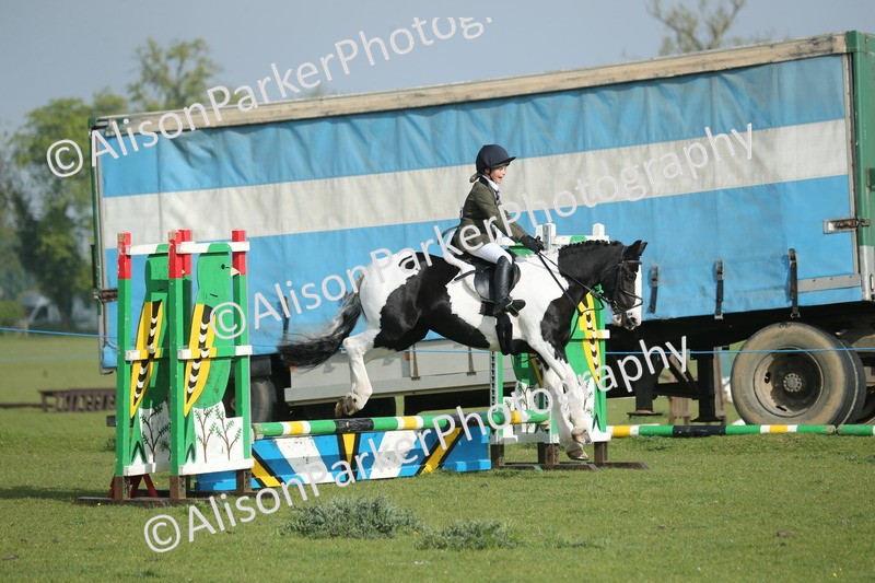 20260426-0017 - Class 13 - Rookie Jumping 50cm