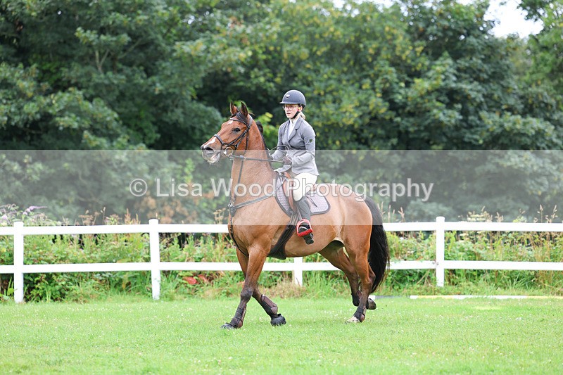 3E7A1324 - Class 5: 80cm open (A)