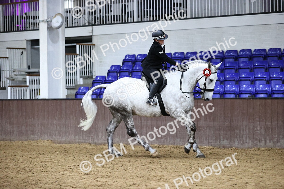 SBM_6320 - Class 17 - IDHSG Challenge Pure Breed