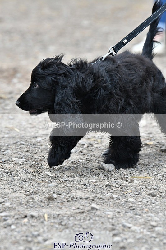 230817-124223-02802 - Stable Shots