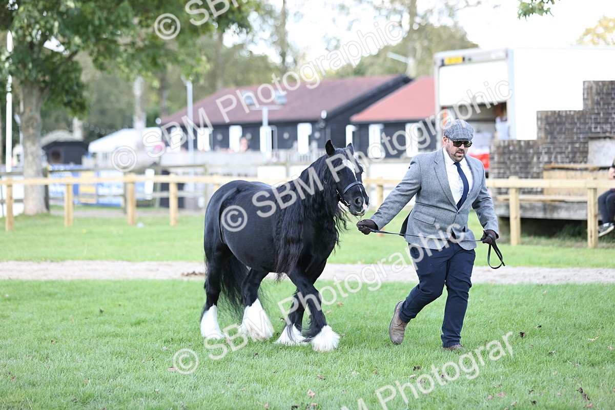 SBM_26249 - S5 - Novice & Newcomers In Hand