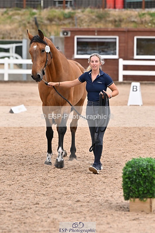 250716-143409-01215 - Trot Up 2.30 to 3.30