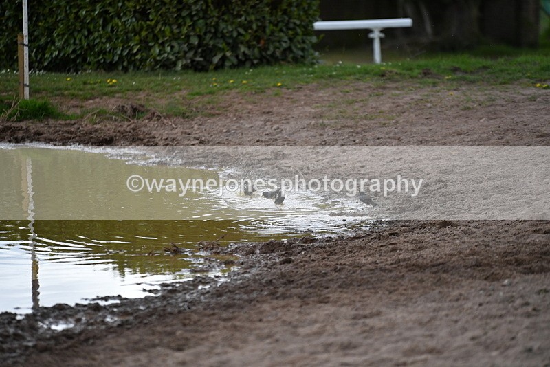 WJ5_3612 - Time 14:19 to 14:53