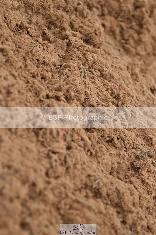 231118A-145140-03706 - Cls 27 Springboard 128cm & 138cm