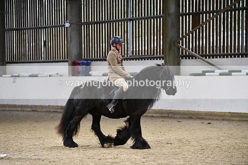 WJ5_8601 - Class 14 Novice Ridden/Rider