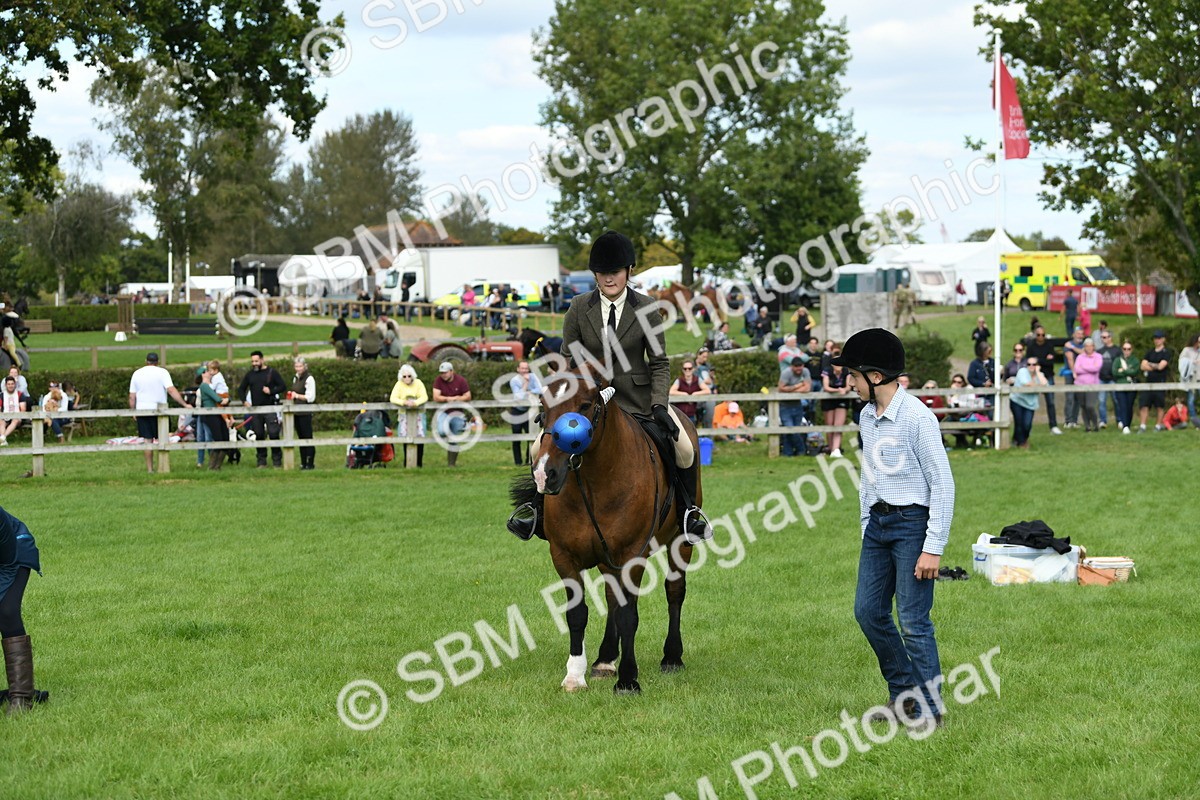 SBM_46855 - S12 - Family Horse & Pony