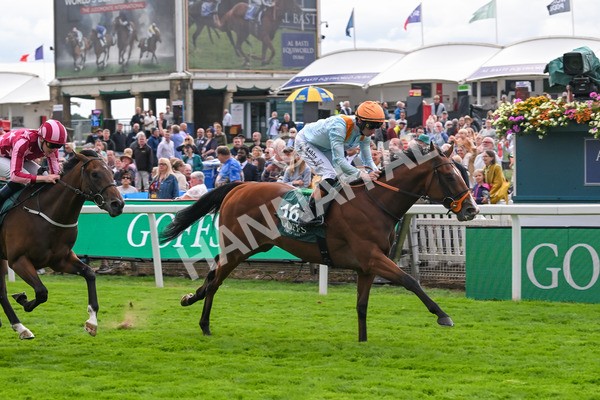 210825-Race 2-Song Of The Clyde-3990 - Race 2 2.25pm Harry's Half Million By Goffs