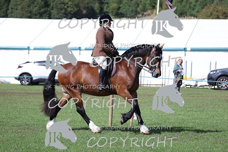 APP_3512 - Class 12 M&M ridden