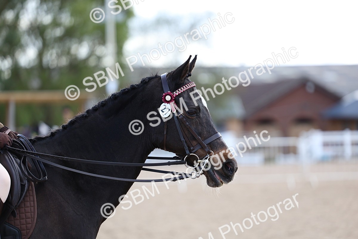 SBM_11223 - Class 306 - Ridden Foreign Breeds - Part Bred
