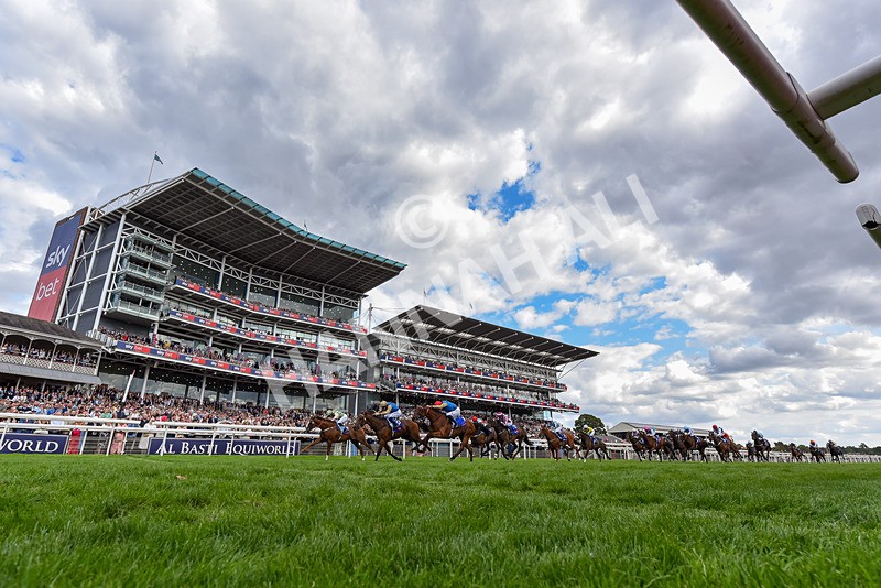 220826-Race 4-Daiquiri Bay-6109 - Race 4 15.35pm Sky Bet Ebor Handicap