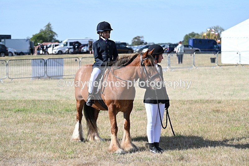 WJ7_2880 - Class 8 Ridden Tack & Turnout