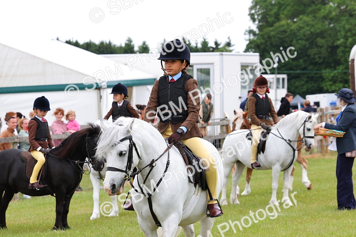 SBM_08696 - Class 42-43 - LIHS BSPS Heritage Working Sports Pony