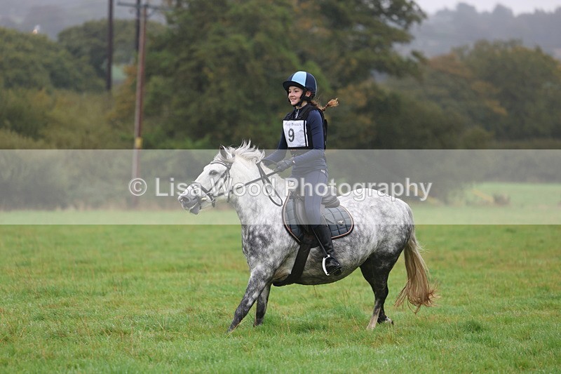 3E7A0780 - Class 1: 65cm: Rails