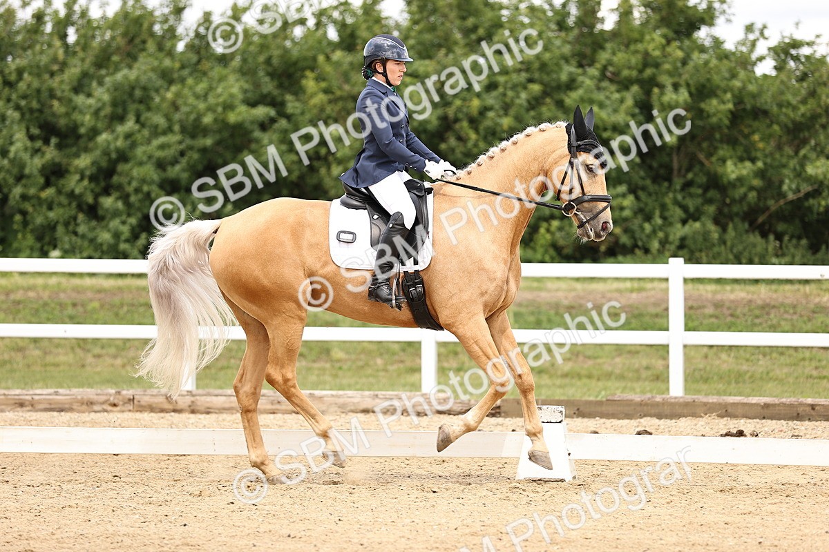 SBM_003001 - Class 2 - Novice 4 - 12.00-13.10