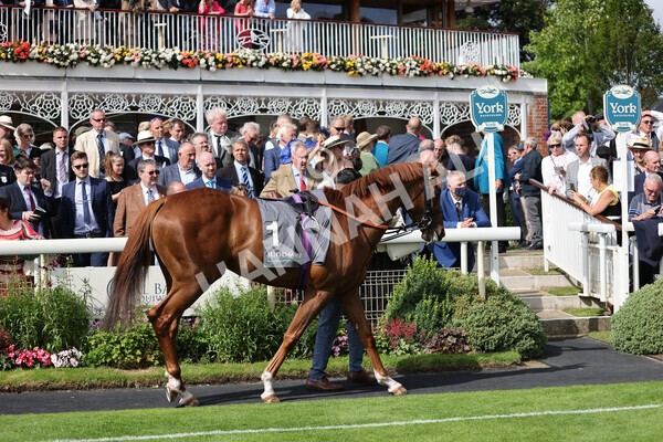 yr18082021r4-7 - Race 4 3.35pm Juddmonte International Stakes (British Champion Series race)