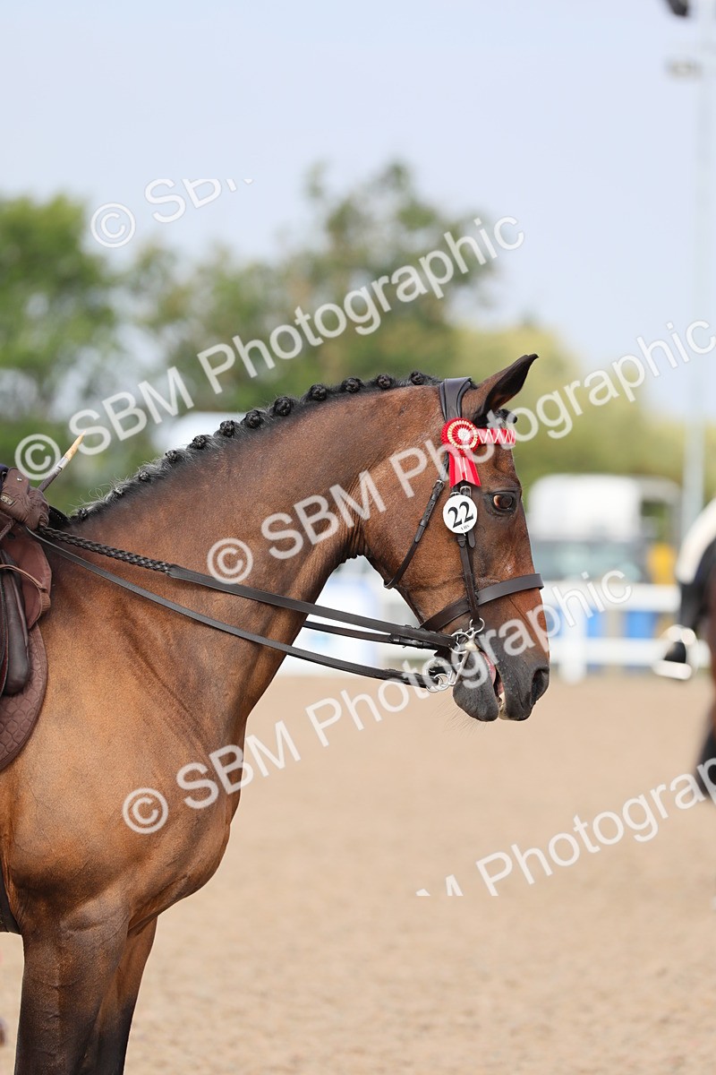 SBM_10685 - Class 303 Ridden Pure Bred Horse/Pony (excl M&M)
