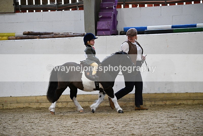 WJ5_6576 - Class 10 Childs Pony