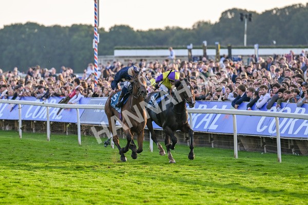 111025-Race 7-Lets Dream-9087 - Race 7 Coral 'Committed To Safer Gambling' Finale Handicap at York