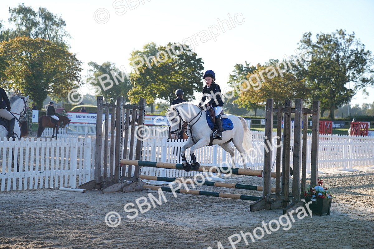 SBM_14007 - J59 - Clear Round - 65cm