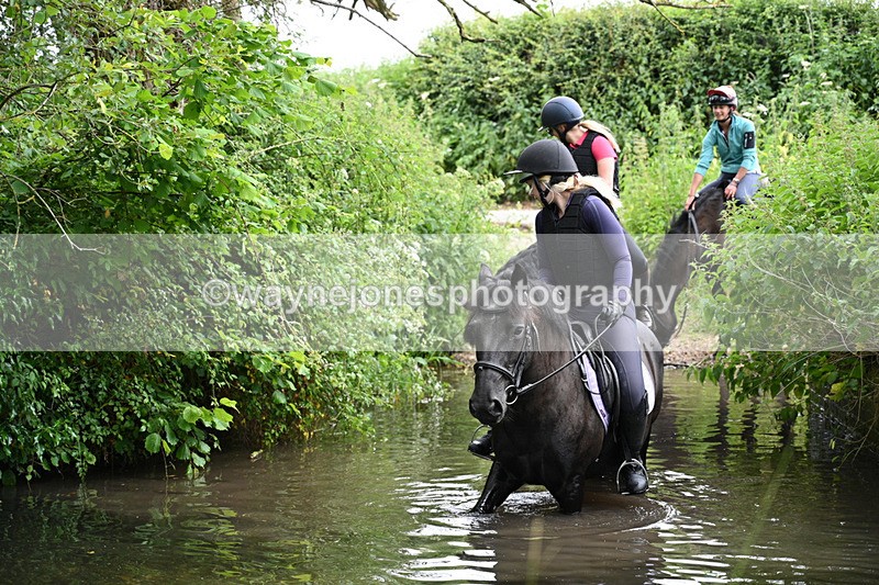 WJ7_2211 - Camera 2 Water Crossing