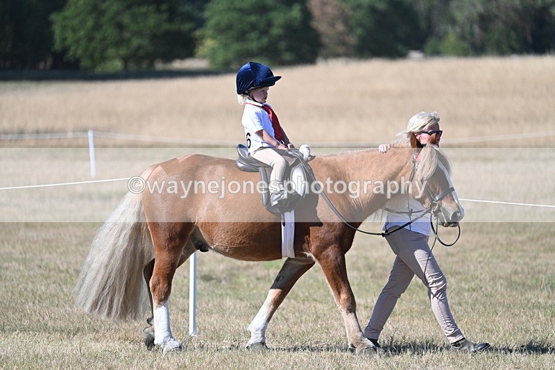 WJ7_2065 - Class 44 Child's Best Friend