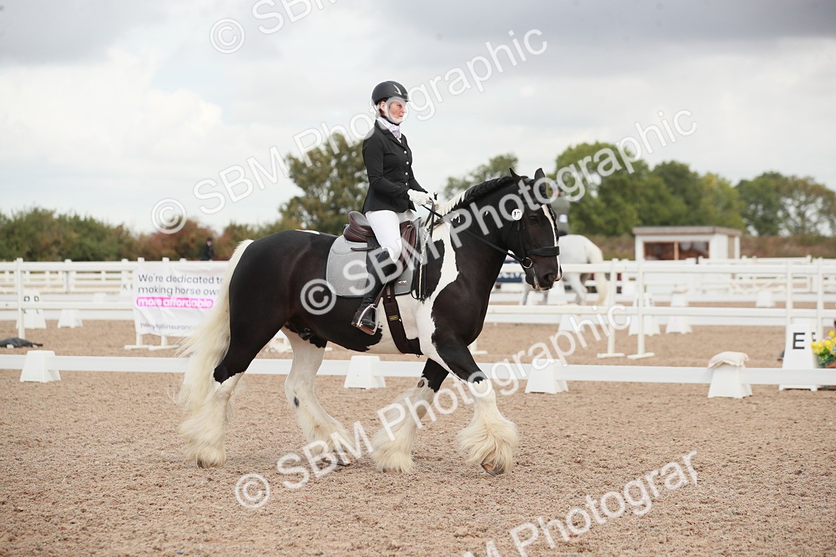 SBM_03814 - Class 31 - Prelim 1