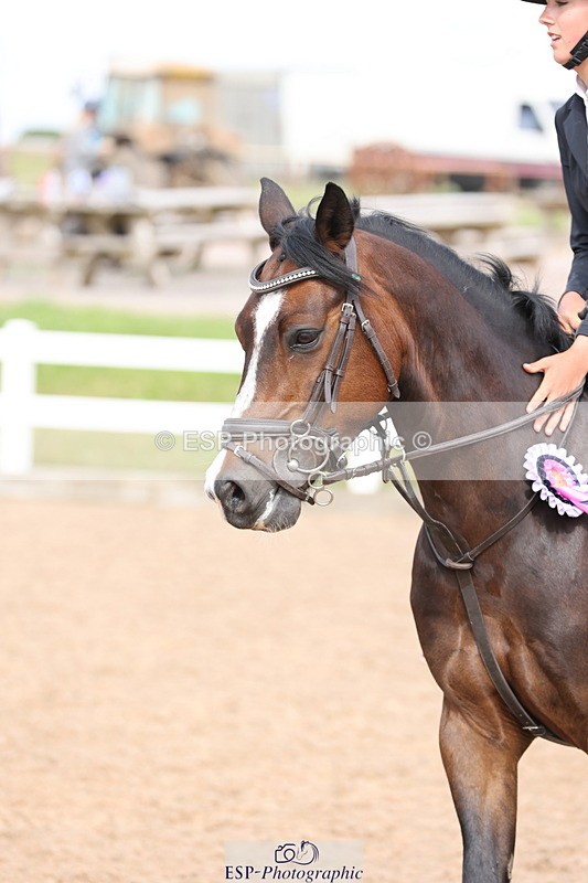 240630A-165610-15400 - Cls 33 Foxhunter and 1.10m Open