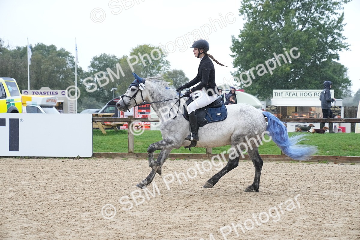 SBM_01623 - J54 - Clear Round 50cm