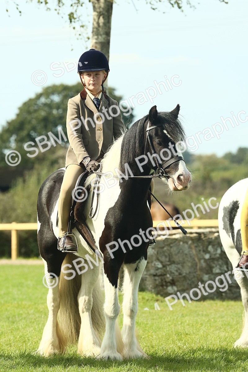 SBM_68932 - S58 - Mini Show Cob Ridden