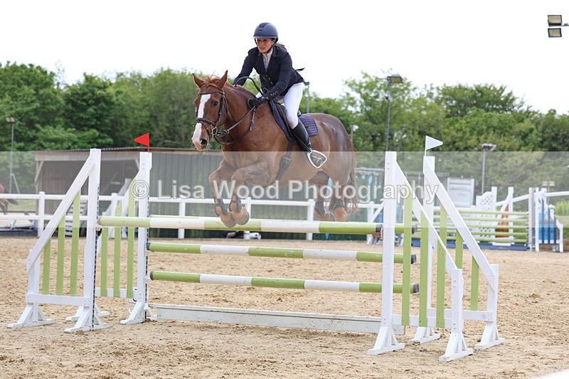 3E7A7477 - Class 8: Senior Foxhunter/1.20 open