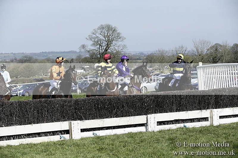 PtP 260317 26 - Mendip Farmers Point-to-Point Ston Easton 26/03/17